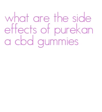 what are the side effects of purekana cbd gummies