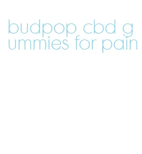 budpop cbd gummies for pain