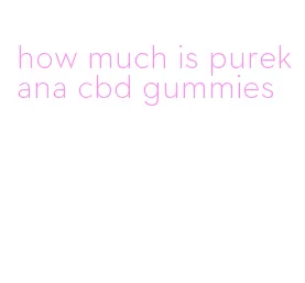 how much is purekana cbd gummies