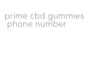 prime cbd gummies phone number