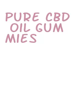 pure cbd oil gummies