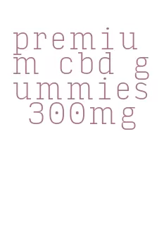 premium cbd gummies 300mg