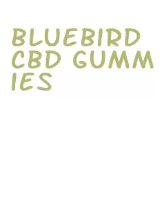 bluebird cbd gummies