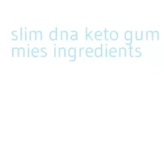 slim dna keto gummies ingredients