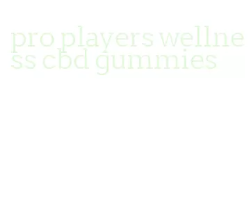 pro players wellness cbd gummies