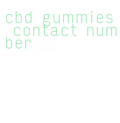 cbd gummies contact number