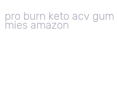 pro burn keto acv gummies amazon