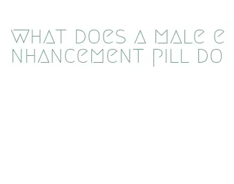 what does a male enhancement pill do