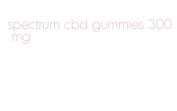 spectrum cbd gummies 300 mg