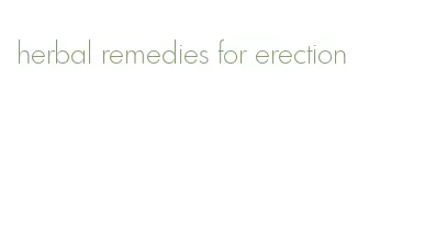 herbal remedies for erection