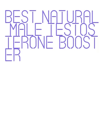 best natural male testosterone booster