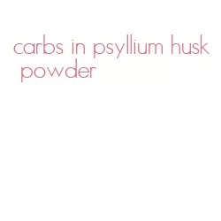 carbs in psyllium husk powder