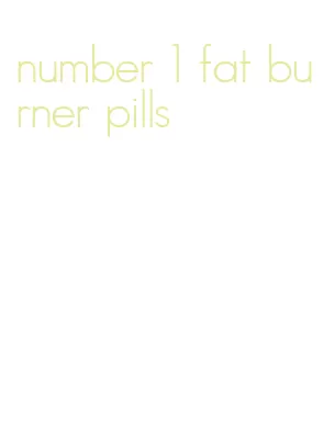 number 1 fat burner pills