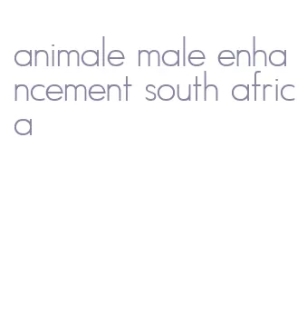 animale male enhancement south africa