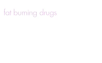 fat burning drugs