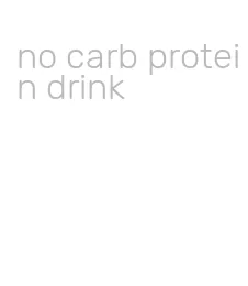 no carb protein drink