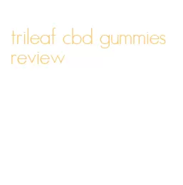 trileaf cbd gummies review