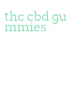 thc cbd gummies