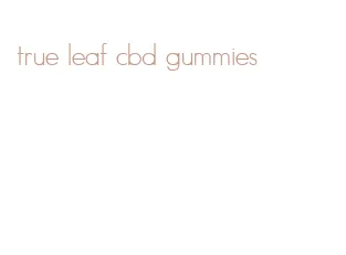 true leaf cbd gummies