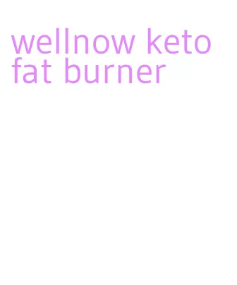 wellnow keto fat burner