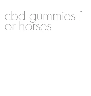 cbd gummies for horses