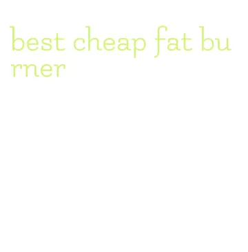 best cheap fat burner