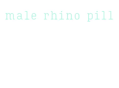 male rhino pill