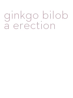 ginkgo biloba erection