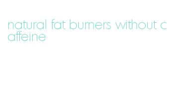 natural fat burners without caffeine