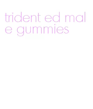 trident ed male gummies