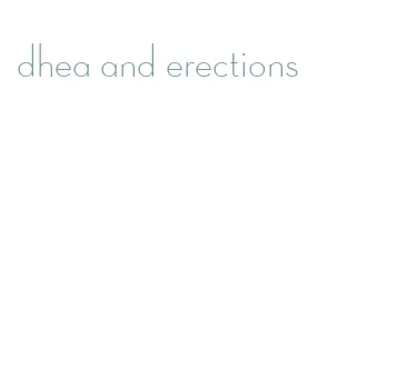 dhea and erections