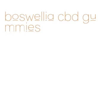 boswellia cbd gummies