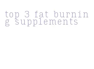 top 3 fat burning supplements