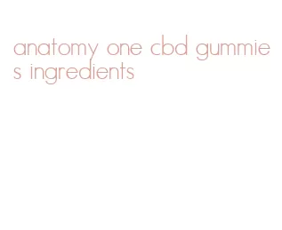 anatomy one cbd gummies ingredients