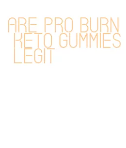 are pro burn keto gummies legit