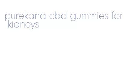 purekana cbd gummies for kidneys