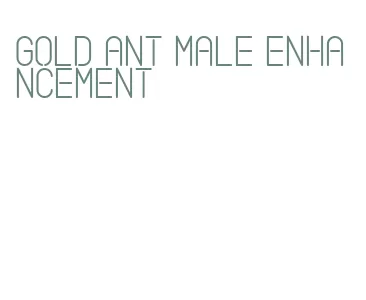 gold ant male enhancement