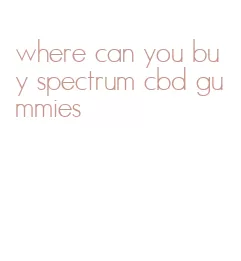 where can you buy spectrum cbd gummies