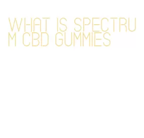 what is spectrum cbd gummies