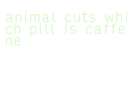 animal cuts which pill is caffeine