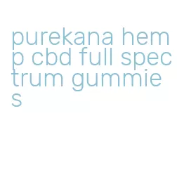 purekana hemp cbd full spectrum gummies