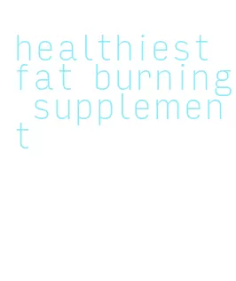 healthiest fat burning supplement