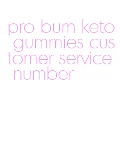 pro burn keto gummies customer service number