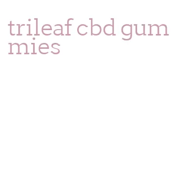 trileaf cbd gummies