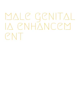 male genitalia enhancement