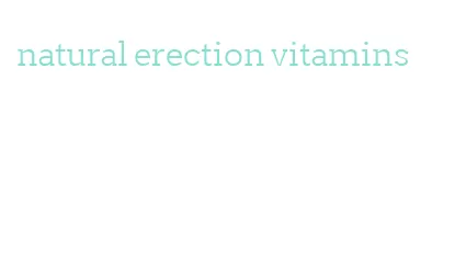 natural erection vitamins