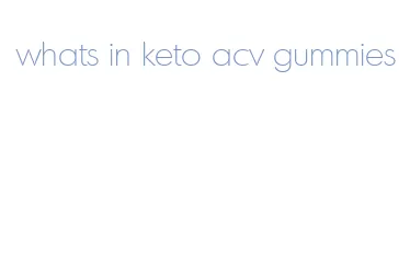 whats in keto acv gummies