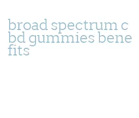 broad spectrum cbd gummies benefits