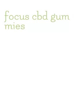 focus cbd gummies