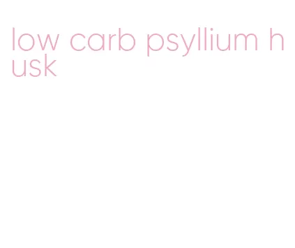 low carb psyllium husk